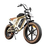 JANSNO Bicicleta Eléctrica 20' x 4.0 Fat Tire, Sistema de transmisión de 7 velocidades, Frenos de disco mecánicos delanteros y traseros, Bicicleta...