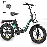 HITWAY Bicicleta Plegable de Bicicleta eléctrica de 20 Pulgadas de Grasa, Batería 250W/36V/12Ah, El kilometraje eléctrico máximo de hasta 35-90 KM